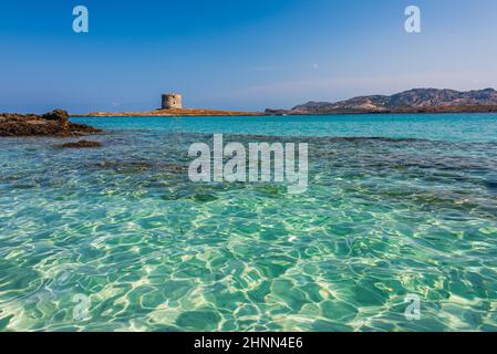 L'incredibile mare e la torre aragonese a la Pelosa Beach, Stintino Foto Stock