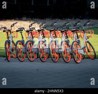 Noleggio biciclette Foto Stock