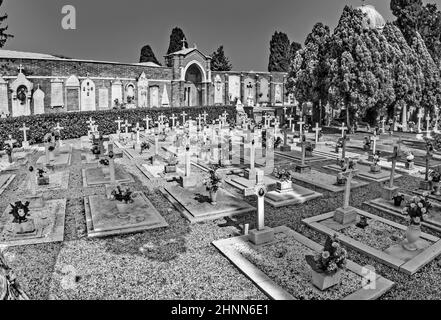 Lapidi nell'isola del cimitero di San Michele Foto Stock