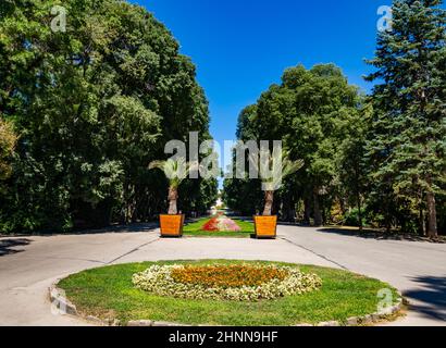 Bellissimo scatto di un giardino sul mare a Varna, Bulgaria, con due palme all'aperto Foto Stock