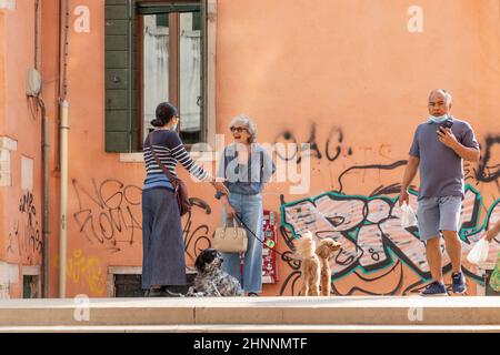 Le persone con i loro cani fanno una passeggiata mattutina nelle vecchie strade della zona di San marco a Venezia. Le donne si incontrano al mattino e hanno una chat Foto Stock