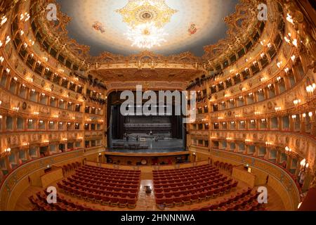 Interno del Teatro la Fenice. Il Teatro la Fenice, 'The Phoenix', è un teatro dell'opera, uno dei più famosi e rinomati monumenti storici del teatro italiano Foto Stock