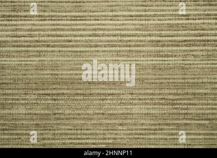 Trama dello sfondo retrostile con motivo a griglia strippato. Foto Stock