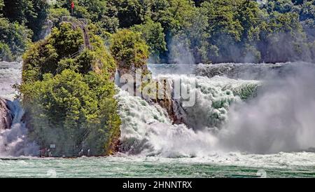 Rheinfall bei Neuhausen, Kanton Schaffhausen, Schweiz Foto Stock