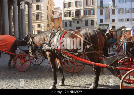 Roma, Italia - 28 dicembre 2018 : carrozza per turisti al tempio del Pantheon a Roma Foto Stock