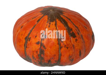 Zucca isolato. Primo piano di un colorato rosso arancio Cucurbita Hokkaidio isolato su uno sfondo bianco. Nutrizione sana. Macro. Foto Stock