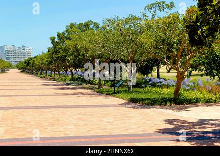 Ingresso o sentiero per Green Point Park a Città del Capo. Foto Stock