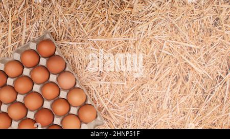 Scatola di cartone con uova fresche naturali su sfondo di paglia. Concetto estetico realistico. Organizzazione vacanze di Pasqua Foto Stock