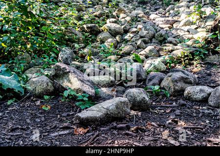 Una piattaforma nella foresta, disseminata di grandi pietre rotonde lasciate da un fiume asciutto Foto Stock