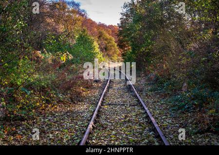 Linea ferroviaria abbandonata in luminoso sole invernale con foglie cadute che coprono le traversine tra le piste. Foto Stock
