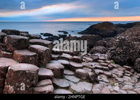 Giants Causeway unica roccia di basalto formazione in Irlanda del Nord Foto Stock