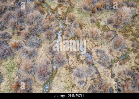 Vista aerea primaverile di North Park in Colorado - arazzo di arbusti, erba e ruscelli Foto Stock