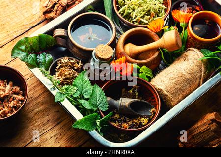 Erbe medicinali, piante e radici in medicina alternativa.Medicina di erbe, sfondo di legno Foto Stock