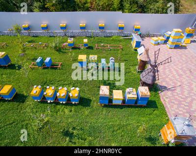 Ci sono molti alveari delle api nel nuovo apiary. Apicoltura industriale Foto Stock