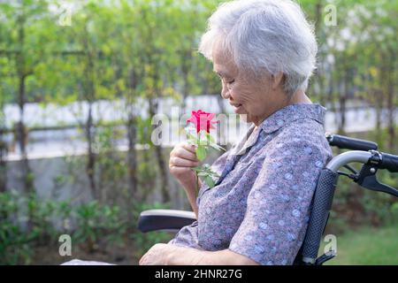 Donna anziana o anziana donna asiatica con rosa rossa, sorriso e felice su sedia a rotelle nel parco. Foto Stock