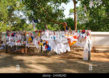 Le persone adorano il famoso luogo in cui si dice che il Buddha di Gautama abbia ottenuto l'Illuminismo Foto Stock