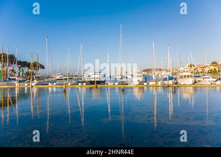 marina a San Francisco con barche in bel tempo Foto Stock