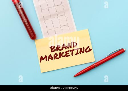 Marketing del marchio per la visualizzazione concettuale. Business idea creare consapevolezza sui prodotti in tutto il mondo lettura grafico e scrittura importante Medical Notes Test Result Analysis Foto Stock