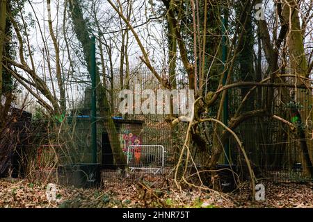 Wendover, Regno Unito. 9th Febbraio, 2022. Parte del sito dell'ex campo di resistenza attiva (GUERRA) Stop HS2 è raffigurato accanto al A413. Gli attivisti ambientali contrari al collegamento ferroviario ad alta velocità HS2 hanno istituito il campo in un luogo in cui HS2 attraverseranno il A413 tramite il viadotto Small Dean, ma sono stati sfrattati dai salvataggi che agiscono per la HS2 Ltd nell'ottobre-novembre 2021. Credit: Mark Kerrison/Alamy Live News Foto Stock