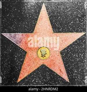 La stella di Tom Cruise sulla Hollywood Walk of Fame Foto Stock