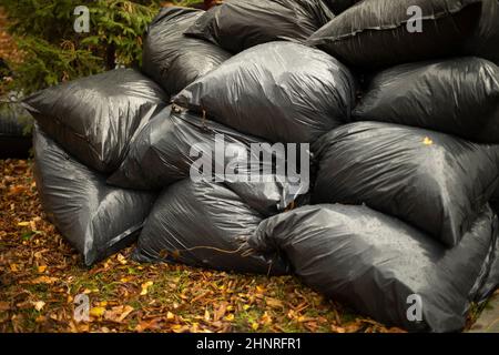 Sacchi di rifiuti. Sacchetti di scarto neri. Discarica di rifiuti. Foto Stock