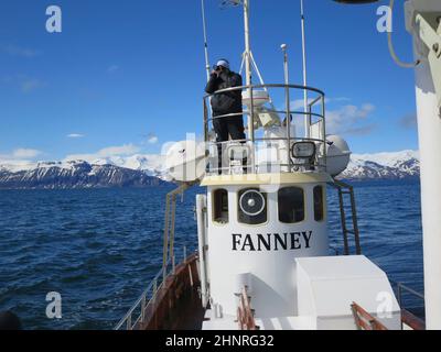 Uomo alla torre di osservazione di una barca per l'avvistamento delle balene vicino a Husavi­k, una città del comune di Nordurping sulla costa settentrionale dell'Islanda. Foto Stock