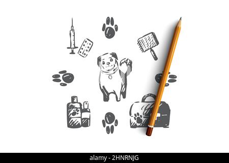 Cane, animale domestico, animale, accessori, concetto di cura. Il cucciolo disegnato a mano e la cura fornisce lo schizzo di concetto. Illustrazione vettoriale isolata. Foto Stock