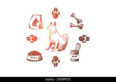 Cane, animale domestico, animale, accessori, concetto di cura. Il cucciolo disegnato a mano e la cura fornisce lo schizzo di concetto. Illustrazione vettoriale isolata. Foto Stock