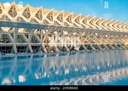 Un edificio di architettura moderna e futuristica nella città delle scienze e delle arti a Valencia, parco complesso Ciudad de las Artes y las Ciencias Spagna. Riflessione nell'acqua delle strutture edilizie. Foto Stock