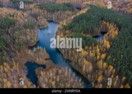 Piccolo lago con acqua blu circondato da foresta autunnale. Foto Stock