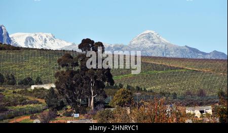 Inverno in Sudafrica Foto Stock