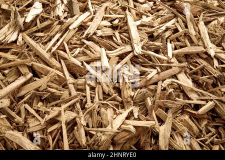 trucioli di legno per generare calore Foto Stock