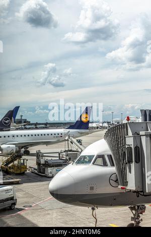 Velivolo Lufthansa a terra pronto per l'imbarco durante la situazione di traffico ridotto dovuta alla corona all'aeroporto di Francoforte. Foto Stock