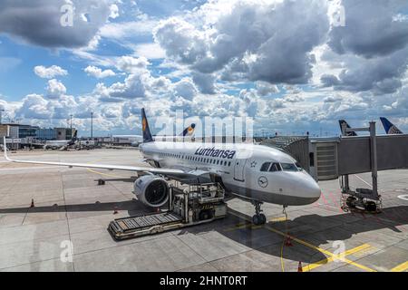 Velivolo Lufthansa a terra pronto per l'imbarco durante la situazione di traffico ridotto dovuta alla corona all'aeroporto di Francoforte. Foto Stock