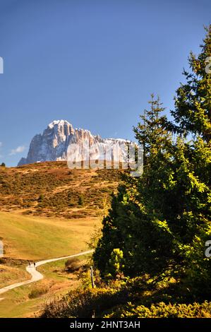 le alpi in alto adige / alpe di siusi Foto Stock