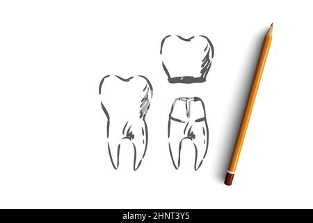 Corona, dentale, radice, dente, concetto di salute. Denti disegnati a mano con disegno a corona. Illustrazione vettoriale isolata. Foto Stock