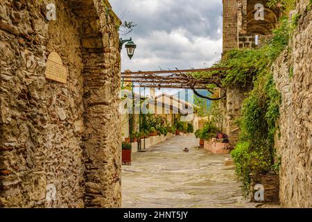 Pantanassa Monastero, Mistras, Grecia Foto Stock