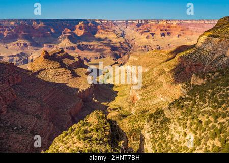 Vista dal Grand Canyon Village e dal Bright Angel Trail al Grand Canyon, USA Foto Stock