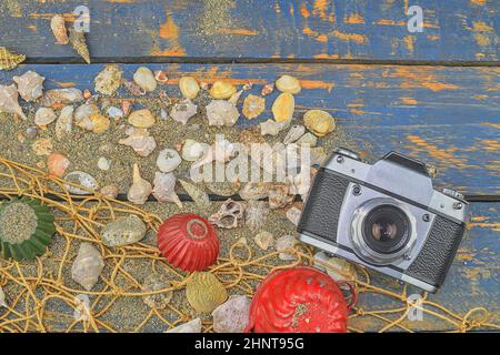 Conchiglie di mare su sfondo blu. Tempo di viaggio estivo. Sfondo vacanza mare con varie conchiglie e macchina fotografica d'epoca. Inserire il testo. Design a posa. Copia spazio.Vista dall'alto. Disposizione piatta Foto Stock