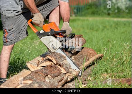 segare il legname con una motosega in una giornata di sole in estate Foto Stock