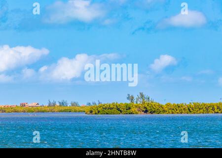 Panorama paesaggio vista Holbox isola natura sabbia acque turchesi Messico. Foto Stock