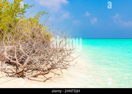 Isole naturali tropicali di sabbia con gradiente di colore nell'acqua Madivaru e Finolhu in Rasdhoo Atoll Maldives. Foto Stock