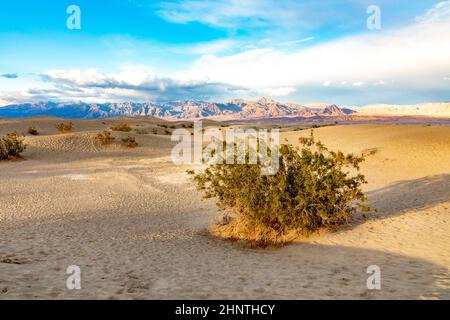 Splendidi appartamenti Mesquite nel deserto della valle della morte alla luce del tramonto Foto Stock