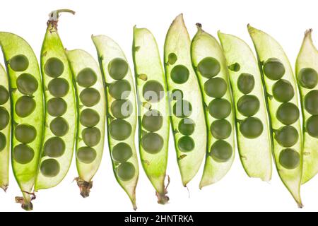 Set di ripe pisello verde nel pod isolati su sfondo bianco Foto Stock