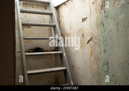 Cantina scale in legno che conducono giù al piano inferiore in pietra e mattoni in seminterrato scuro, vecchio edificio abbandonato spaventoso Foto Stock