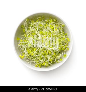 Germogli di broccoli freschi in un recipiente bianco isolato su sfondo bianco. Vista dall'alto Foto Stock