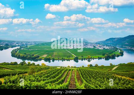 Famosa ansa del fiume Mosella a Trittenheim, Germania Foto Stock