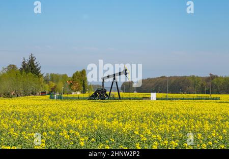 Produzione di olio minerale sull'isola tedesca di Usedom a Luetow Foto Stock