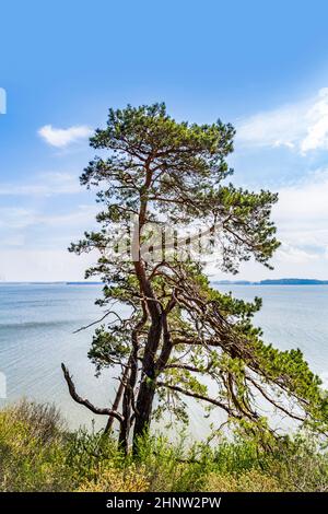 Romantica scogliera ripida con lago a Gnitz in Usedom Foto Stock
