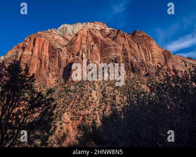 Scogliere dalla Zion-Mount Carmel Highway a ovest del tunnel ovest, Zion National Park, Utah. Foto Stock